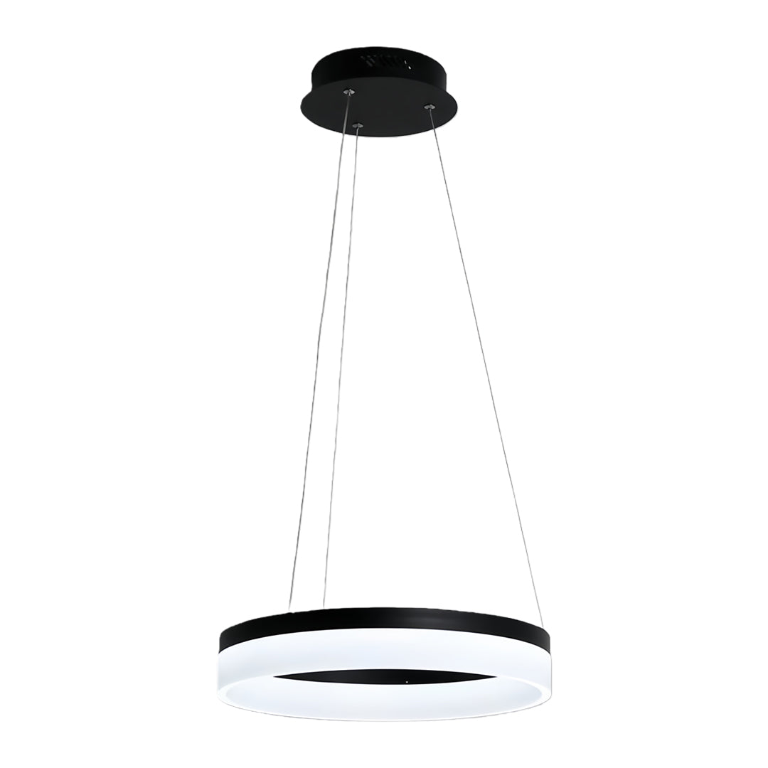 Black ring pendant light suspended by thin cables highlighting minimalist ceiling mount.